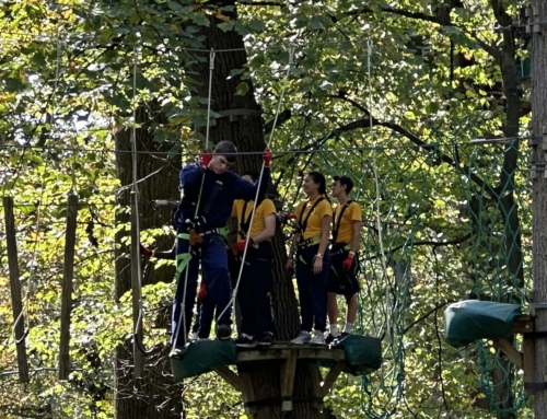 Tree Top Quest in Philadelphia